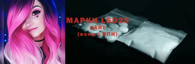 мяу мяу мука Баксан