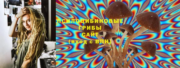 мяу мяу мука Баксан