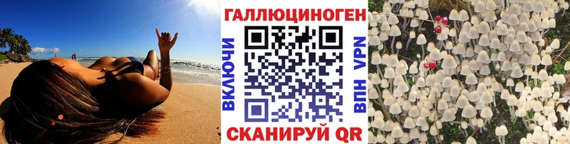 магазин продажи   KRAKEN tor  дарк нет состав  Шенкурск  Псилоцибиновые грибы Magic Shrooms 